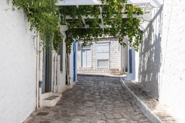 Hydra Adası 'ndaki geleneksel binalar ve sokaklar