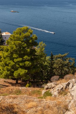 Hidra Adası 'nda ağaçlar ve bitkilerle dolu bir tekne.