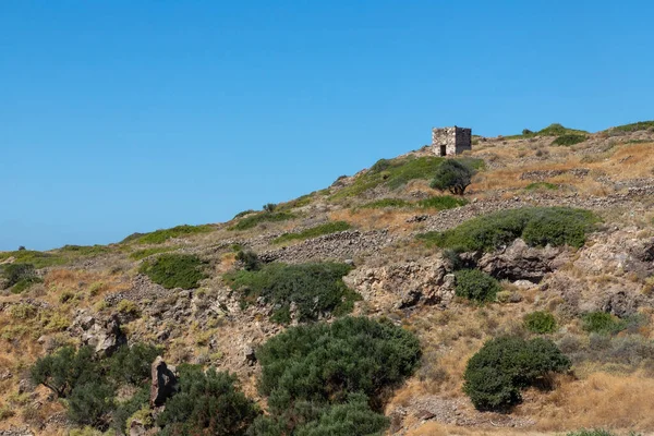 Stone Wall Vegetation Ruins Trypiti Milos Greece — Stock Photo, Image