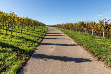 Bade-Baden Köyü, Baden Baden, Almanya