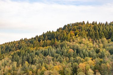 Bade-Baden Köyü, Baden Baden, Almanya