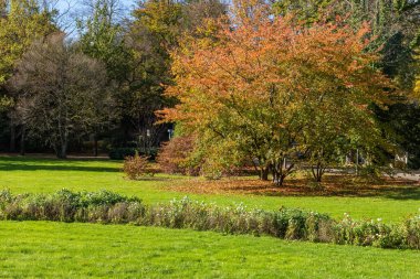 Bade-Baden Köyü, Baden Baden, Almanya