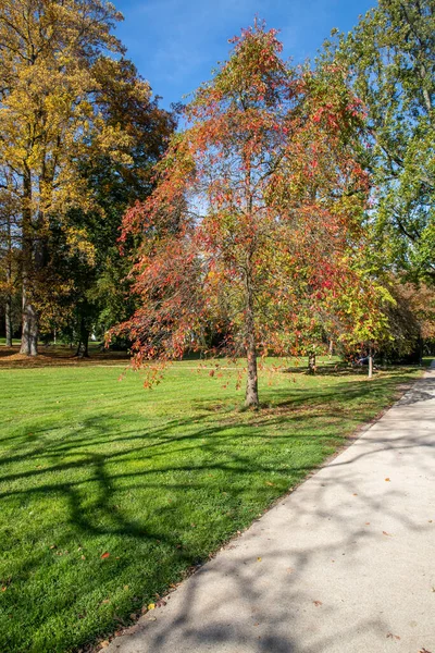 Spaziergang Rund Das Dorf Bade Baden Baden Baden Deutschland — Stockfoto