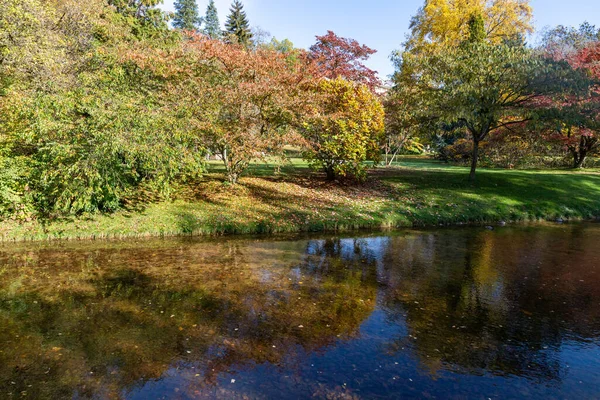 Riverwalk Autour Village Bade Baden Baden Baden Allemagne — Photo