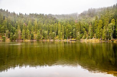 Mummelsee Gölü ve Kara Orman Yolu, Almanya