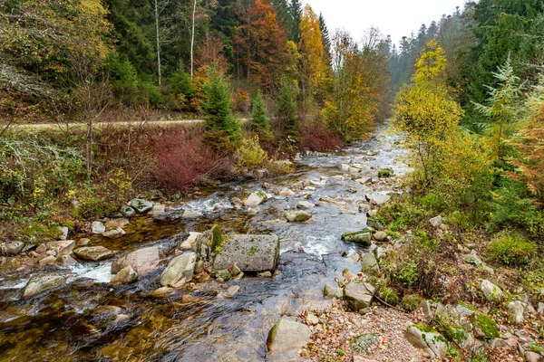 Flod Och Stig Med Höstlöv Schwarzwald Tyskland — Stockfoto