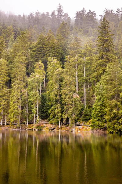 Mummelsee Lago Sendero Selva Negra Alemania —  Fotos de Stock