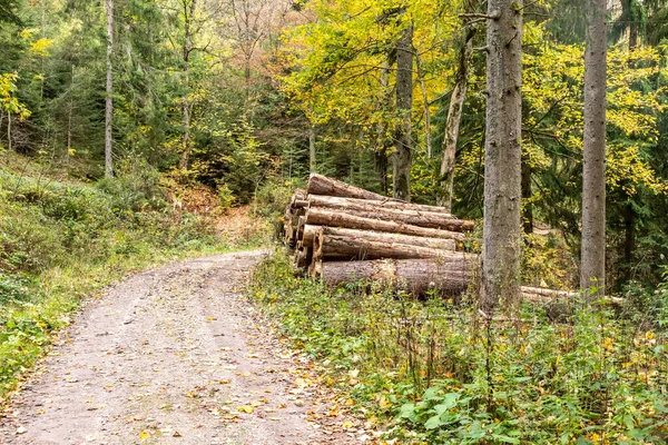 Szlak Czarnym Lesie Koło Wioski Forbach Niemcy — Zdjęcie stockowe