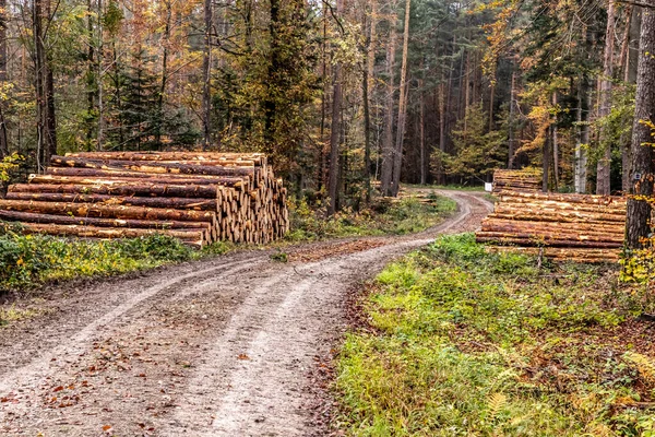 Μονοπάτι Φθινοπωρινά Φύλλα Γύρω Από Χωριό Calw Γερμανία — Φωτογραφία Αρχείου