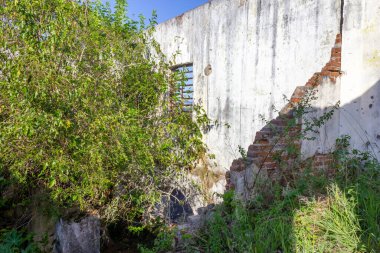 Ilha das Pedras Brancas Adası, Rio Grande do Sul, Brezilya