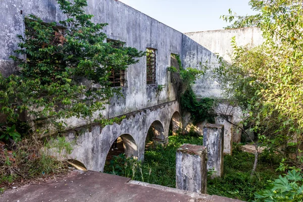 Ruínas Ilha Das Pedras Ilha Das Brancas Rio Grande Sul — Fotografia de Stock