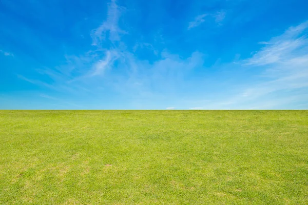 Field of green grass and blue sky — Stock Photo, Image