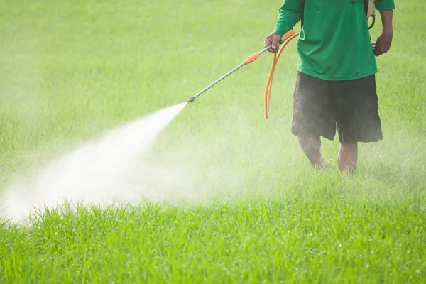 Agricultor pulverizando pesticida no campo de arroz — Fotografia de Stock