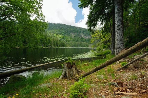 Fjällsjö i Sumava — Stockfoto