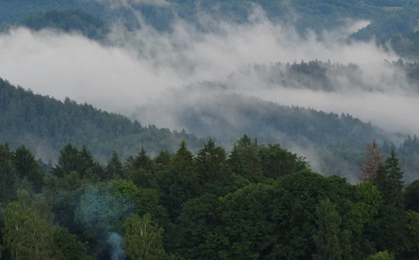 Landschaft im Nebel — Stockfoto