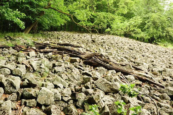 Moře kameny v krajině — Stock fotografie
