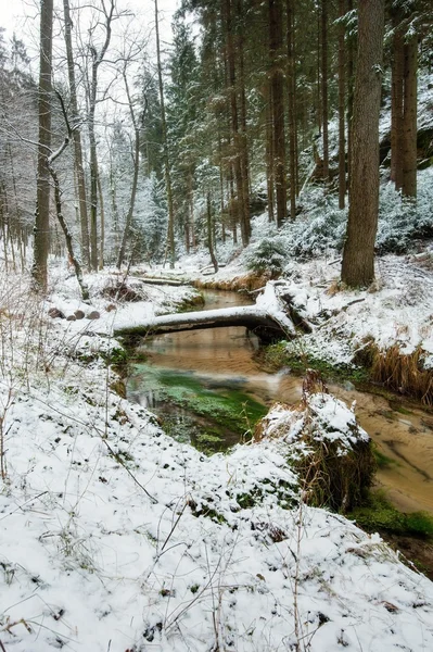 Un fiume che scorre nel paese delle meraviglie invernali — Foto Stock