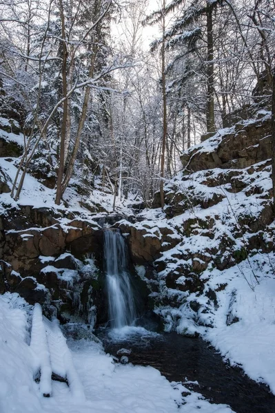 Cascada de invierno en el bosque — Foto de Stock