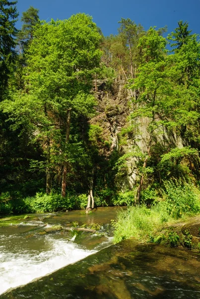 Güzel Kamenice Nehri — Stok fotoğraf