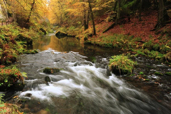 Осінні кольори річка — стокове фото