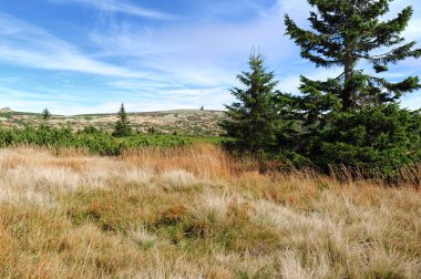 Kayalık manzara görünümünü