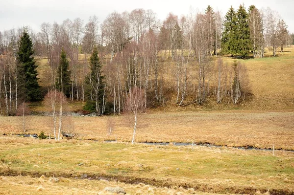 Paisaje de primavera en Sumava —  Fotos de Stock