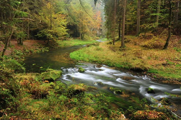 Herfst kleuren-rivier — Stockfoto