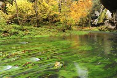 Sonbahar renkleri Nehri