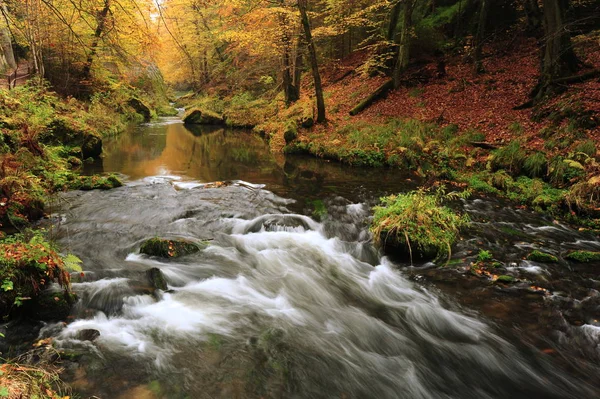 Autumn colors river — Stock Photo, Image