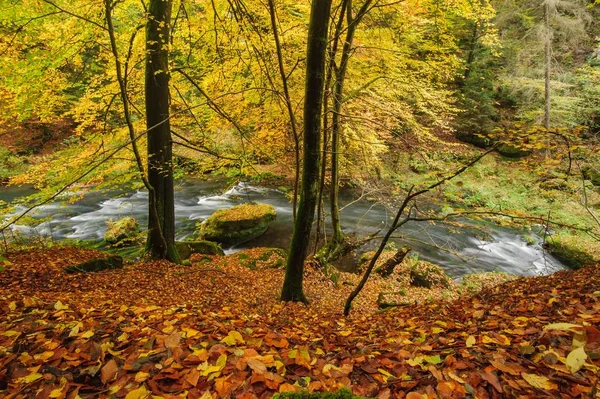 Herfst kleuren-rivier — Stockfoto