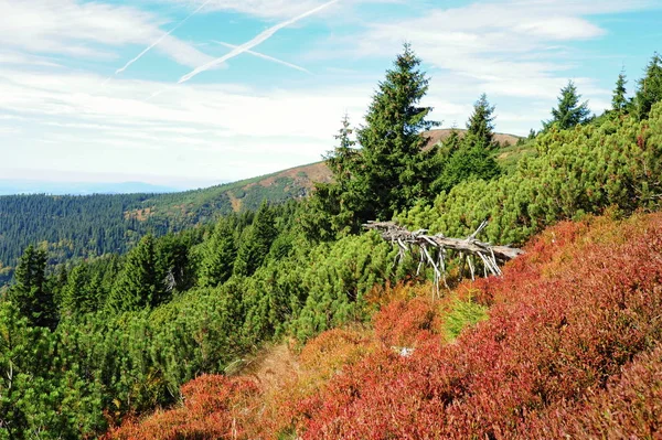 Vue du paysage rocheux — Photo