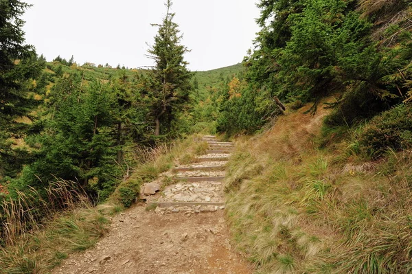 Taş dağ manzarası