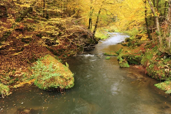 Otoño colores río —  Fotos de Stock