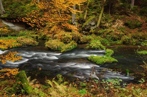 Herfst kleuren-rivier — Stockfoto