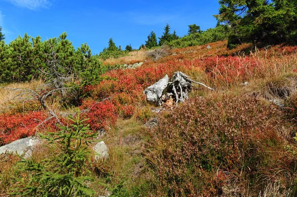 View of the rocky landscape — Stock Photo, Image