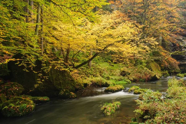 Herbstliche Farben — Stockfoto