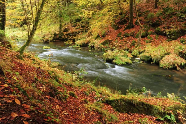 Herfst kleuren-rivier — Stockfoto