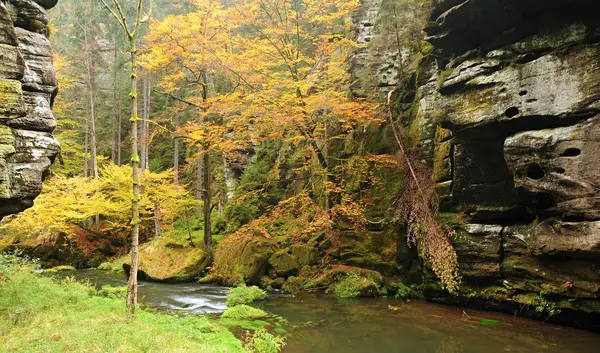 Φθινοπωρινά χρώματα ποταμού — Φωτογραφία Αρχείου