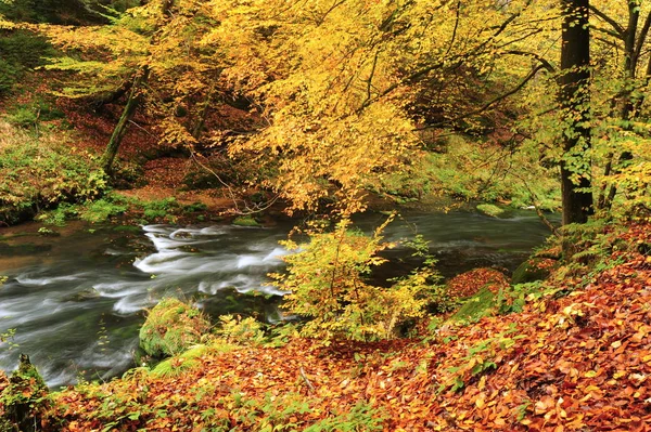 Herfst kleuren-rivier — Stockfoto