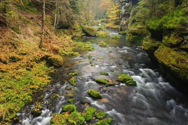 Autumn colors river — Stock Photo, Image