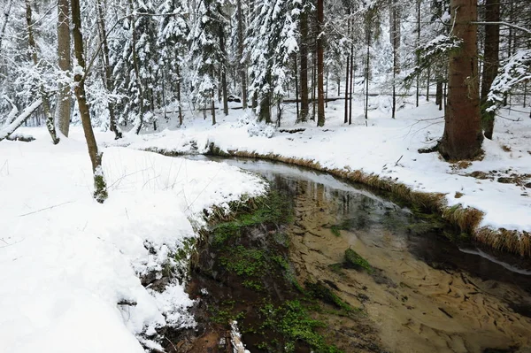 Insenatura invernale della Svizzera boema — Foto Stock