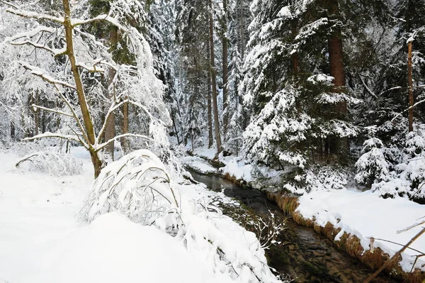 Winter creek van Boheems Zwitserland — Stockfoto