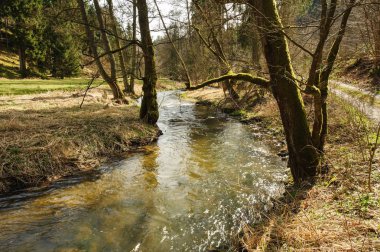 Bahar creek güneş ile
