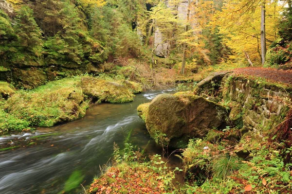 Höstens färger floden — Stockfoto