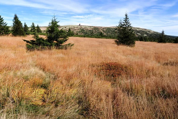 View of the rocky landscape — Stock Photo, Image