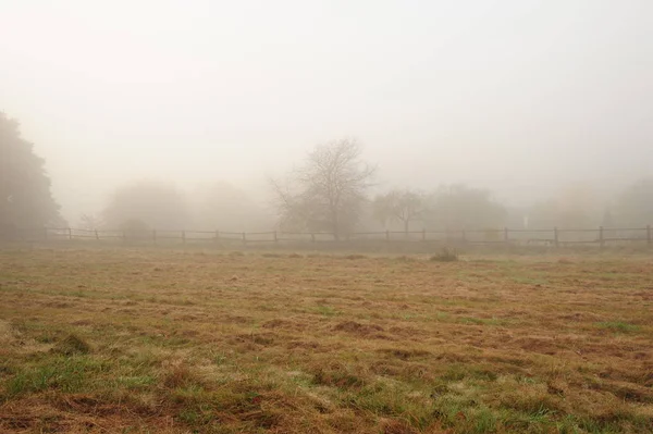 Paesaggio di prima sera con nebbia — Foto Stock