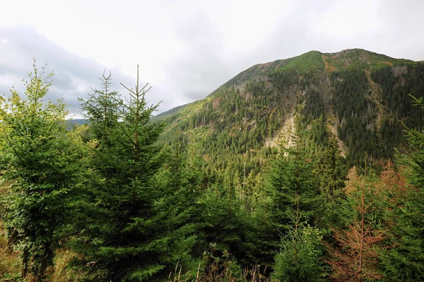 Vue du paysage rocheux — Photo