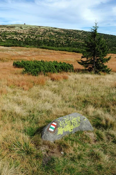 Θέα στο βραχώδες τοπίο — Φωτογραφία Αρχείου