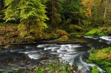 Sonbahar renkleri Nehri