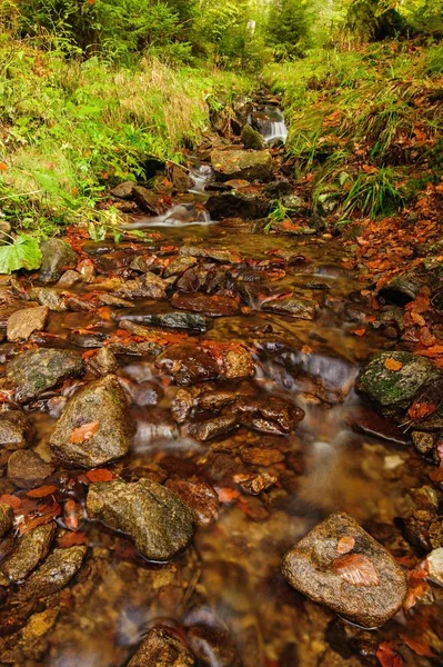 Ruisseau d'automne avec pierres — Photo